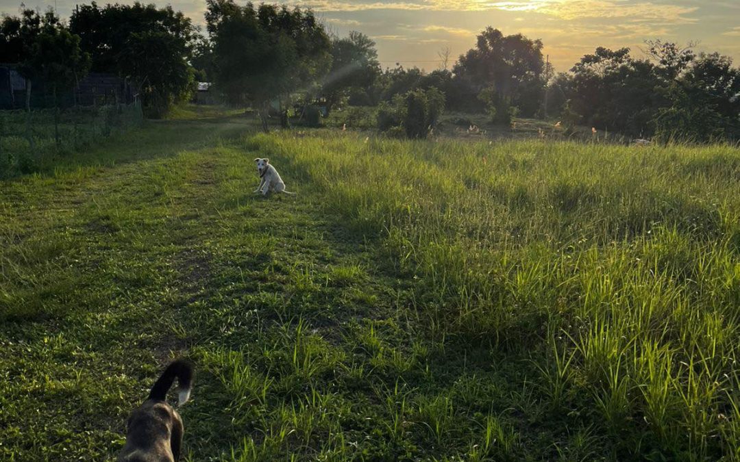 Agri-Tourism Park – Southern Philippines